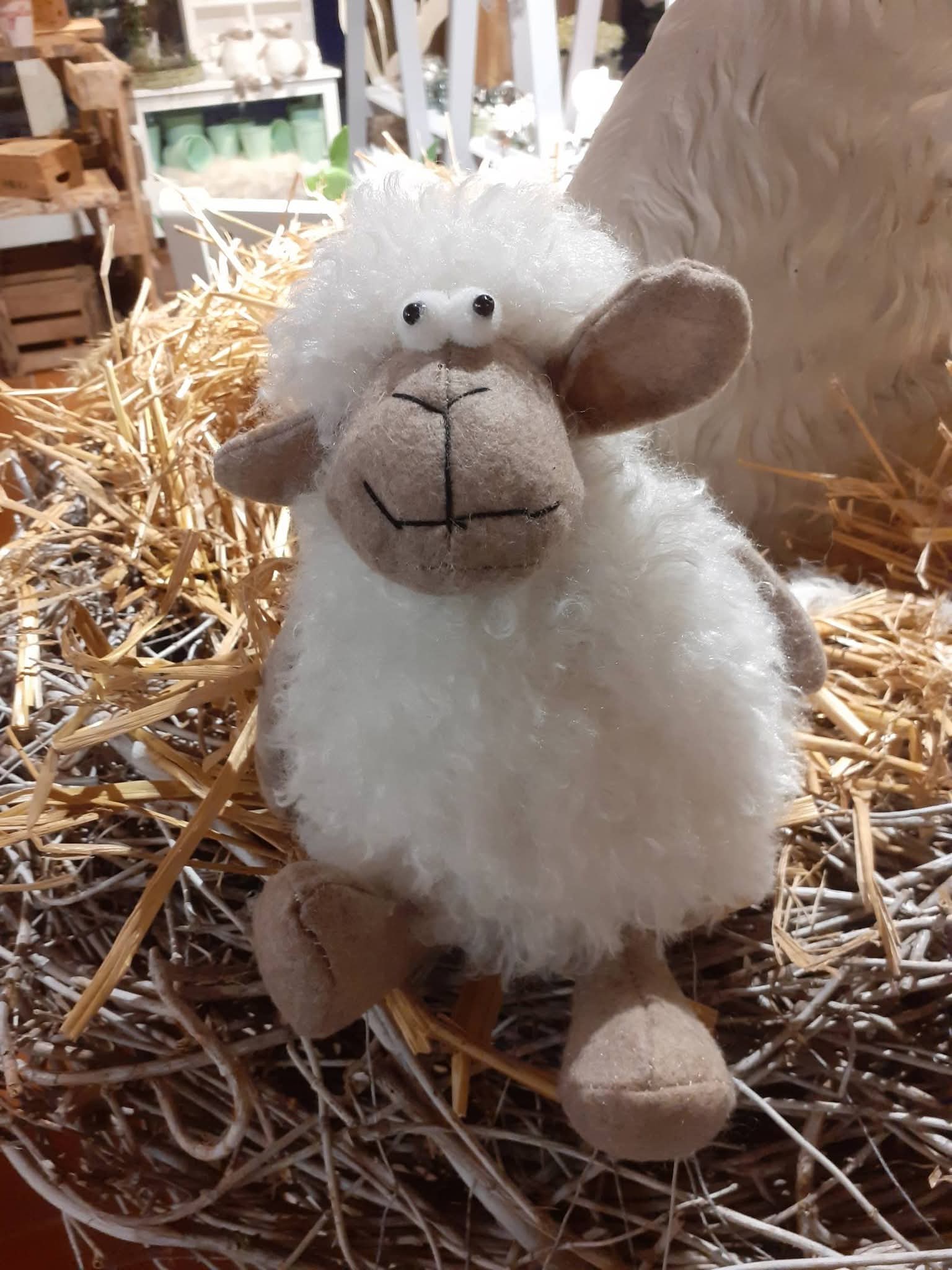 Foto Deko Pl&uuml;schschaf