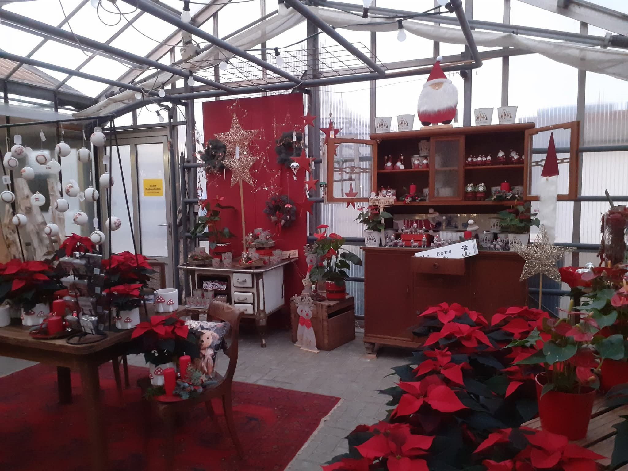 Advents-Ausstellung in der Gaertnerei Kamps
